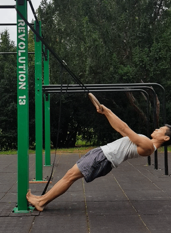 australsky shyb riegrovy sady.img